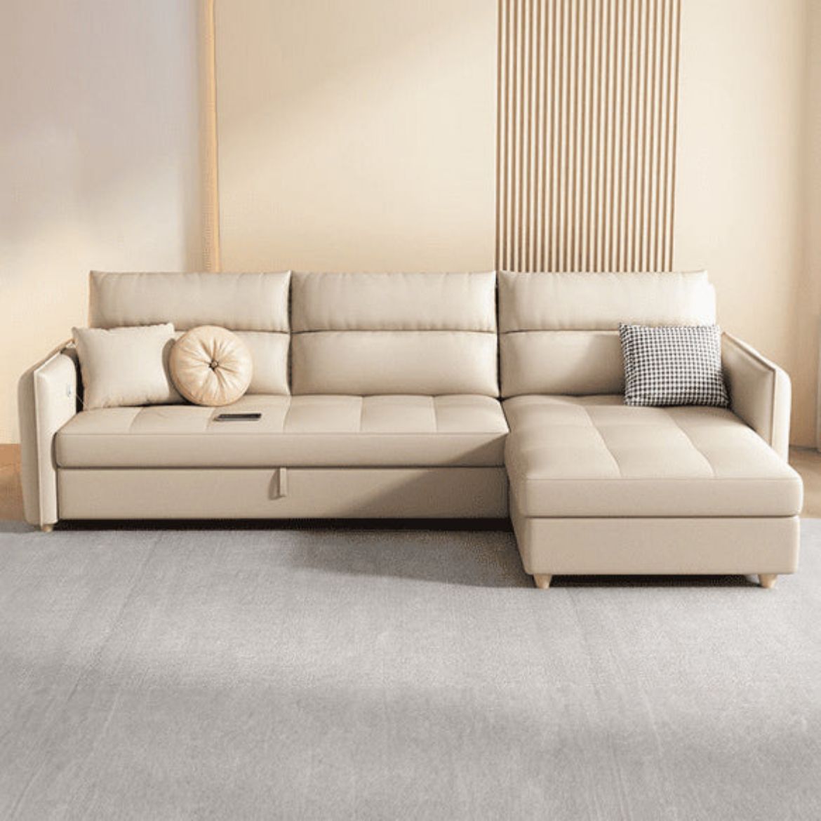 Picture of Sofa Cum Bed - 2