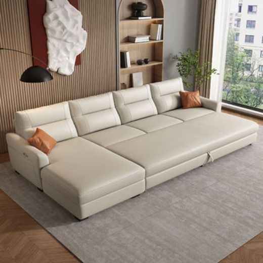 Picture of Modern Customizable Sofa Cum Bed with Storage Option