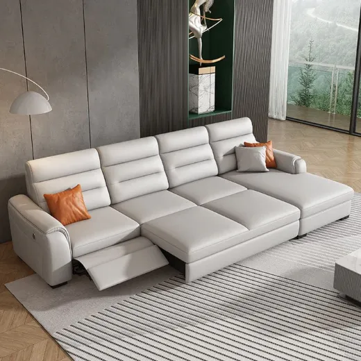 Picture of Modern Customizable Sofa Cum Bed with Storage Option