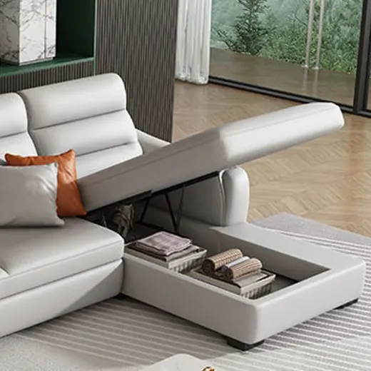 Picture of Modern Customizable Sofa Cum Bed with Storage Option
