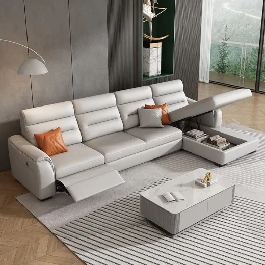 Picture of Modern Customizable Sofa Cum Bed with Storage Option