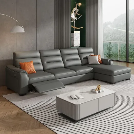 Picture of Modern Customizable Sofa Cum Bed with Storage Option
