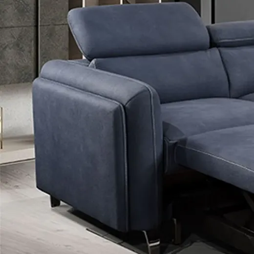 Picture of Sofa Cum Bed & Daybed: Two-Seater Lounger with Convertible Function & Storage