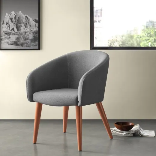 Picture of Lounge Chair: Grey Barrel Design, Plush Comfort